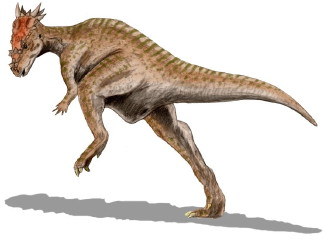 Dracorex hogwartsia. Illustration by ArthurWeasley