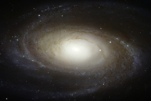 M81 (Credit: NASA, ESA and the Hubble Heritage Team STScI/AURA)