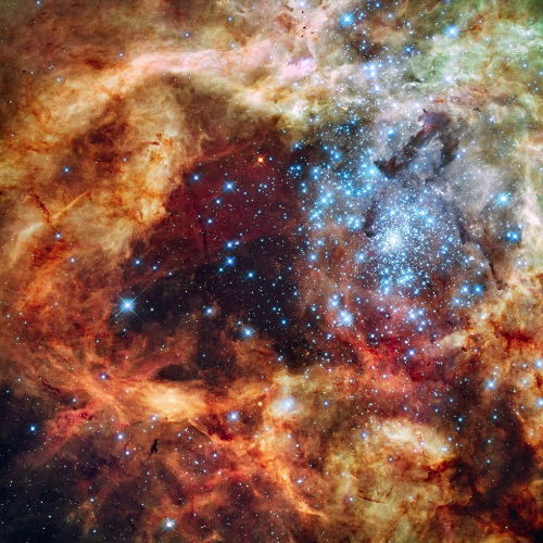 R136 in 30 Doradus (Hubble image)
