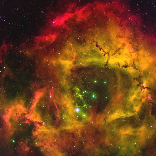 WIYN Observatory: Rosette Nebula