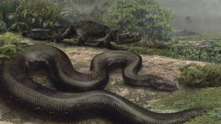 Titanoboa cerrejonensis by Jason Bourque