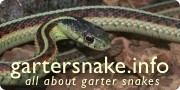 Gartersnake.info